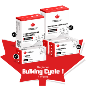 Beginner Bulking Cycle 1 (4 Weeks)